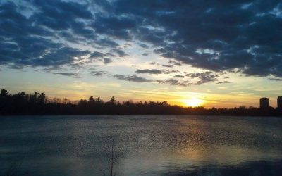 OPINION: Mooney’s Bay – from suburb to urban village.