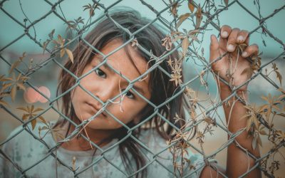 Ontario is cutting the funding to Legal Aid Ontario by $133 million