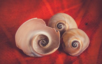 A Systems approach to achieving the UN Sustainable Development Goals