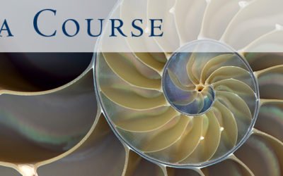 Fritjof Capra: “Coronavirus:  Lessons from Gaia for Humanity”