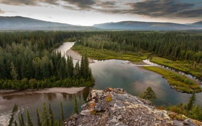 You can help Land Back move forward