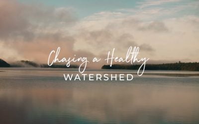 Chasing a Healthy Watershed: our documentary is now live!